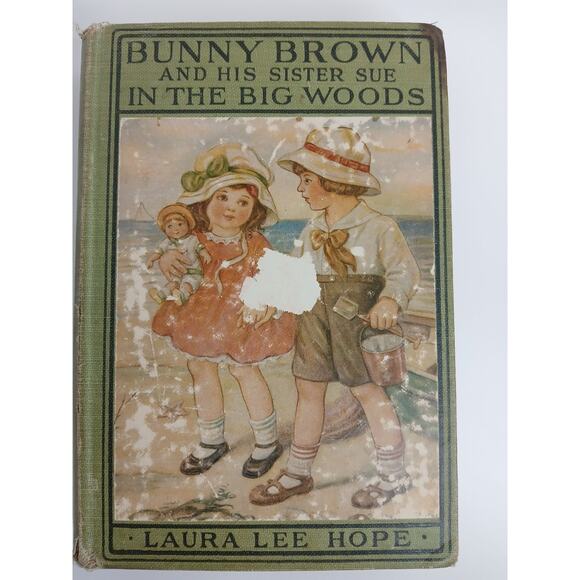 Lot of 2 Vtg Bunny Brown and His Sister Sue Books Laura Lee Hope Big Woods * - Picture 2 of 5